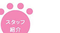�X�^�b�t�Љ�