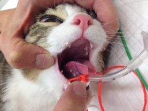 %e8%aa%a4%e9%a3%b2%ef%bc%96