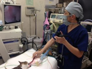 %e8%aa%a4%e9%a3%b2%ef%bc%97