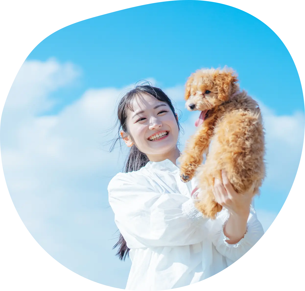 包帯・エリザベスカラーなしで帰宅可能