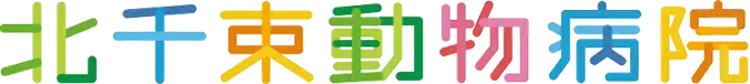 北千束動物病院