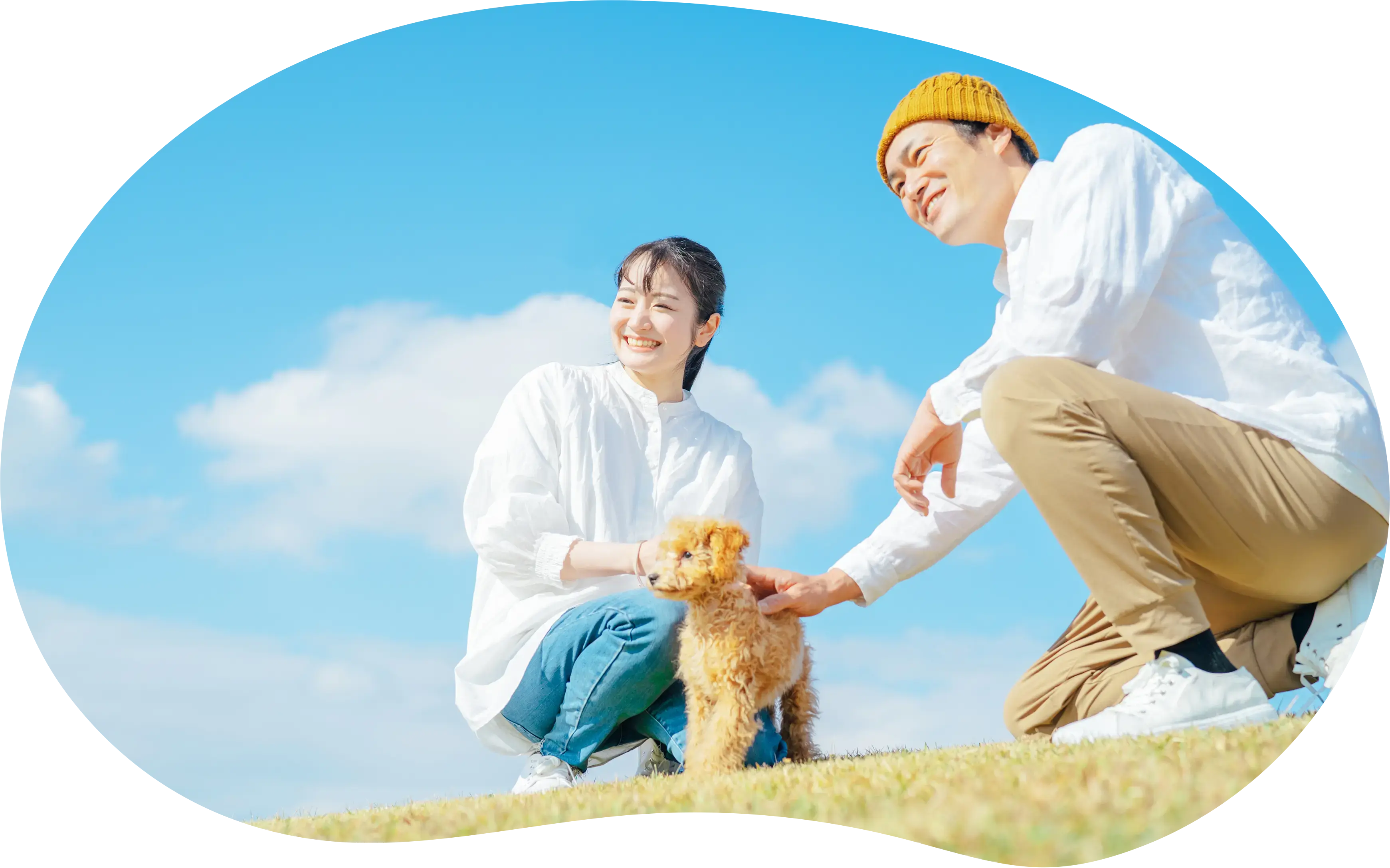 ずっと元気でいてほしいから避妊・去勢手術という選択で一生つづく安心を