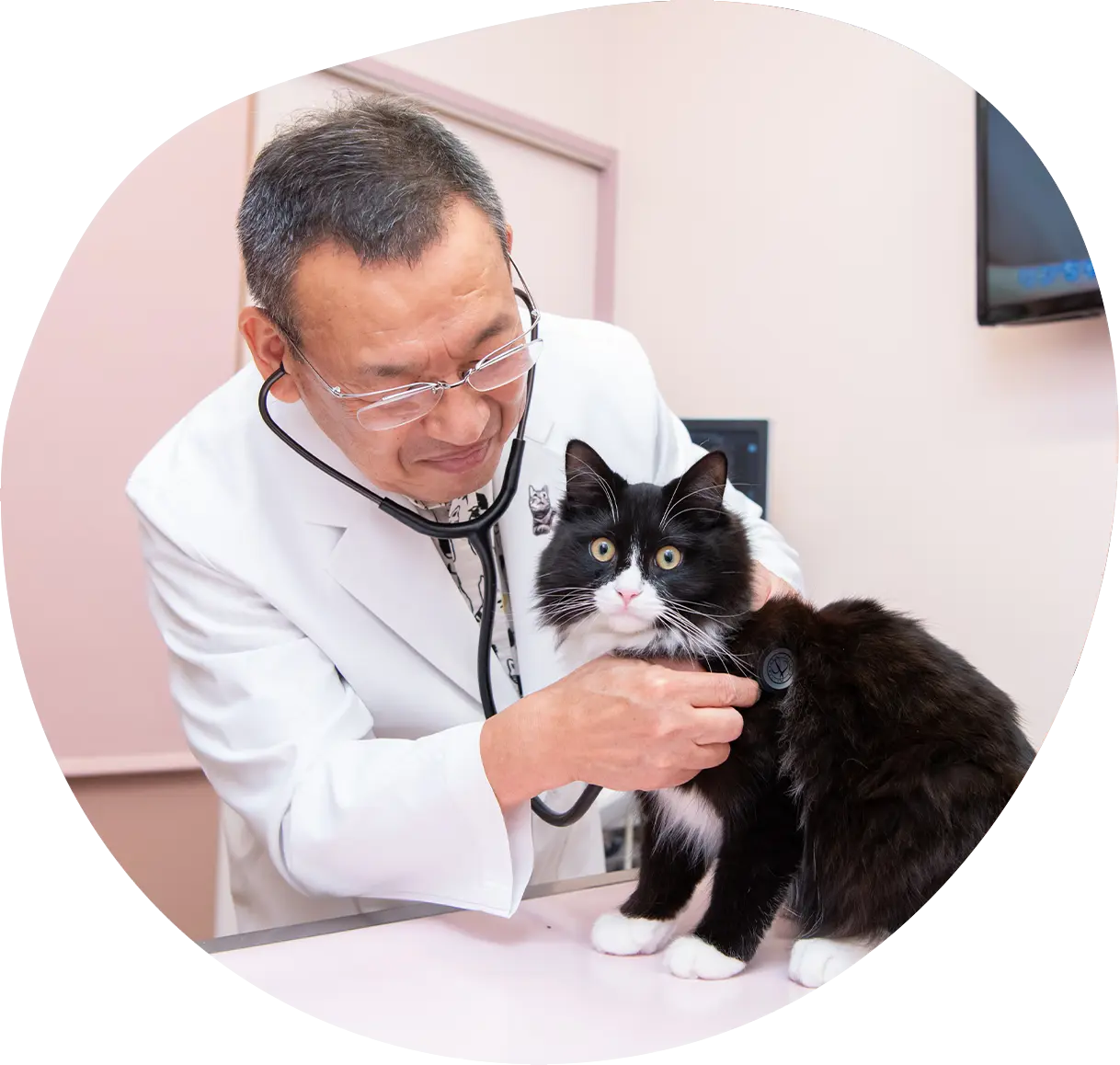 なぜ避妊・去勢が必要なの?