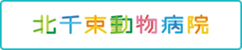 北千束動物病院