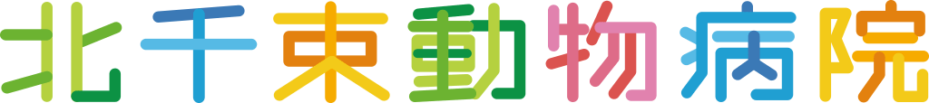 北千束動物病院