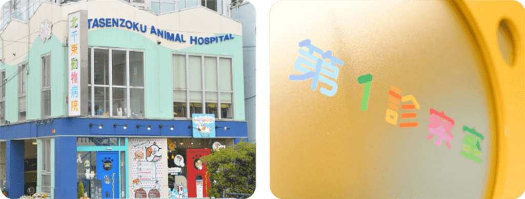 北千束動物病院