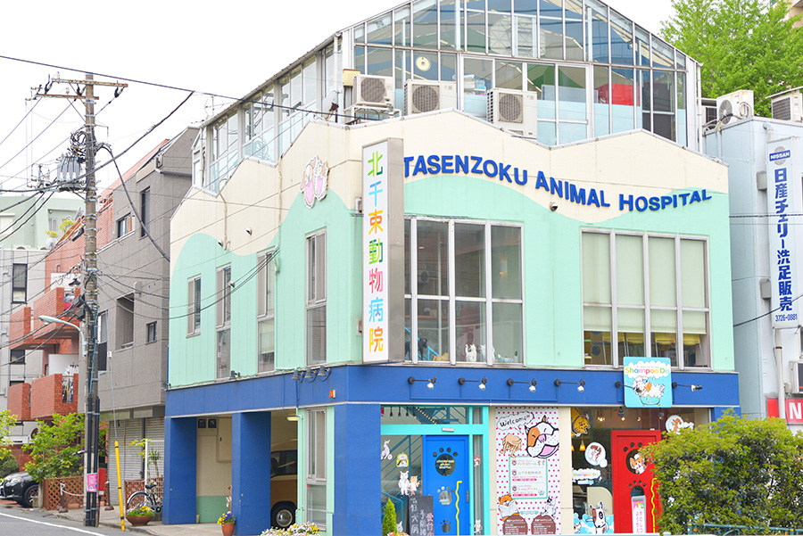北千束動物病院