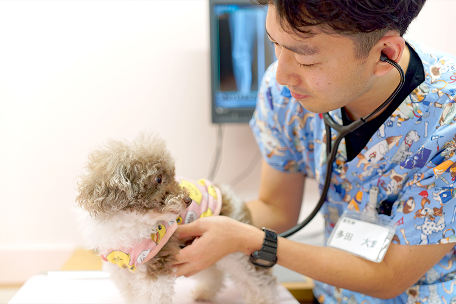 北千束動物病院