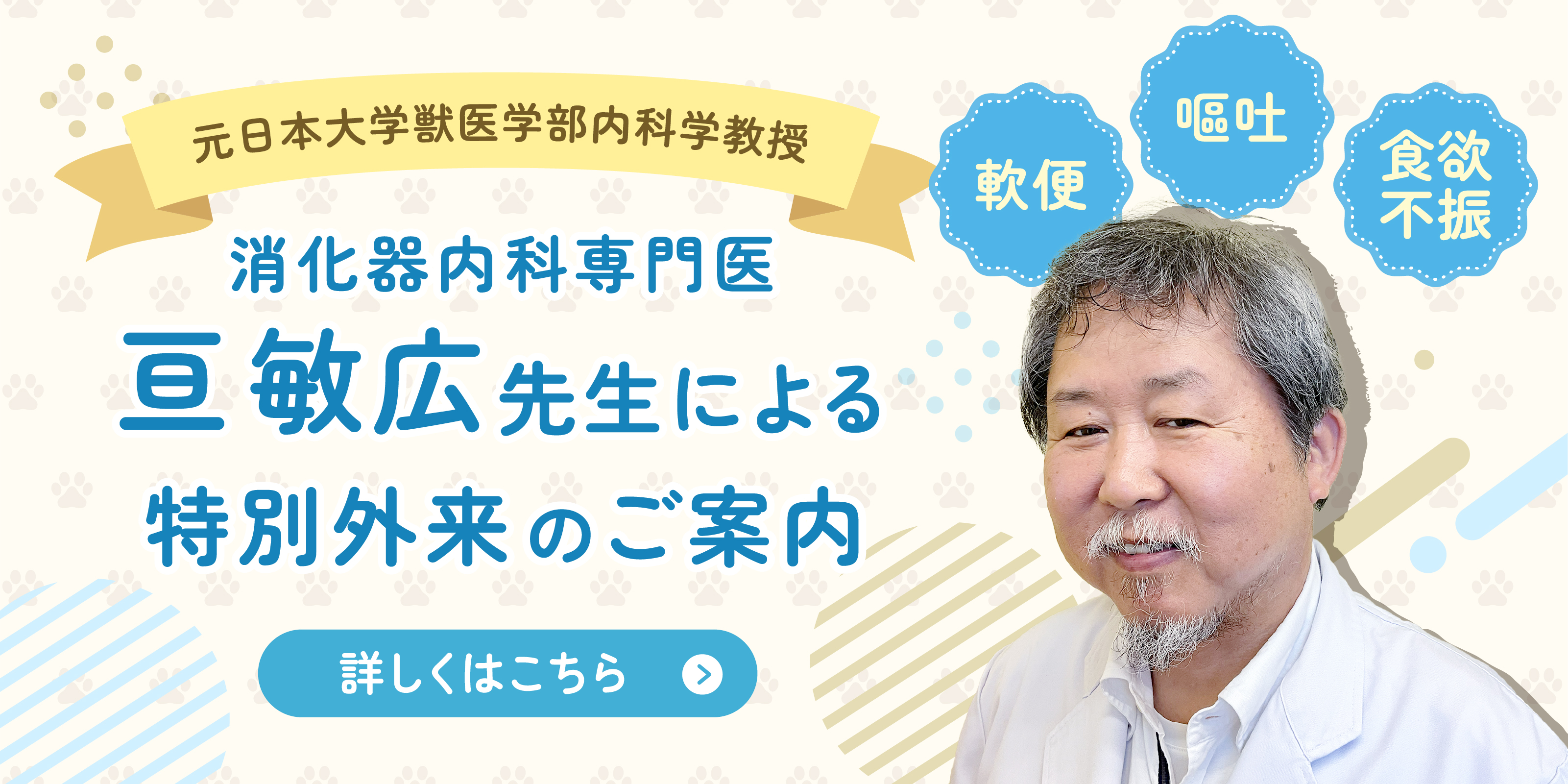 一般内科・消化器内科 専門外来｜北千束動物病院