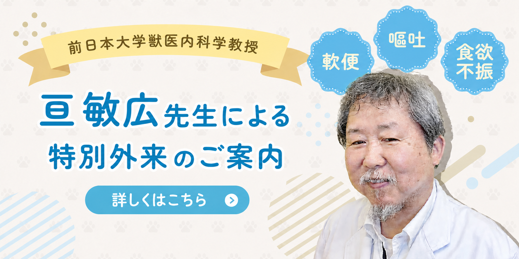 一般内科・消化器内科 専門外来｜北千束動物病院