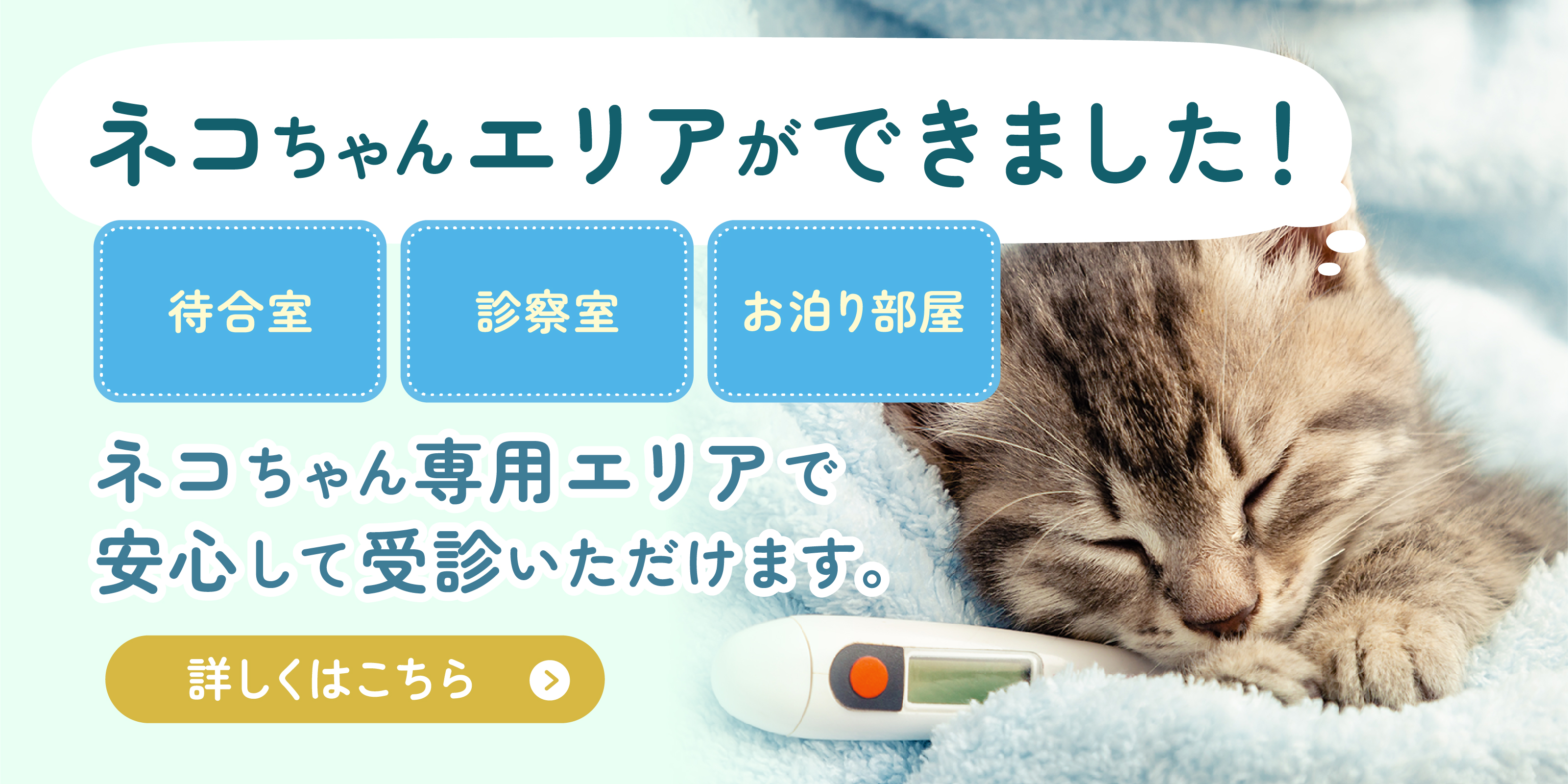 ネコちゃんエリア