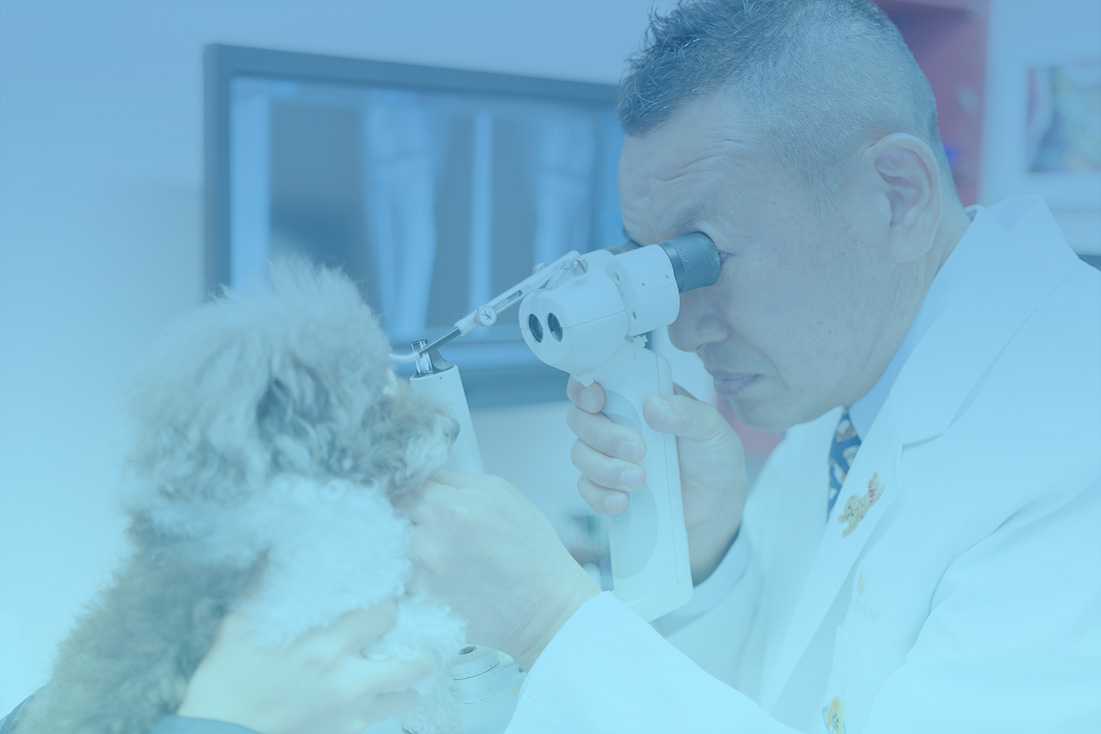 大田区北千束·洗足・北千束動物病院