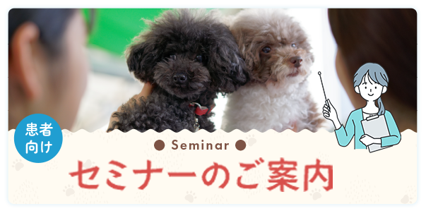 大田区北千束·洗足・北千束動物病院・セミナーのご案内