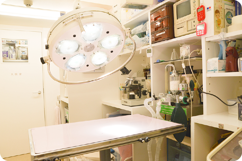 見学・実習・面接