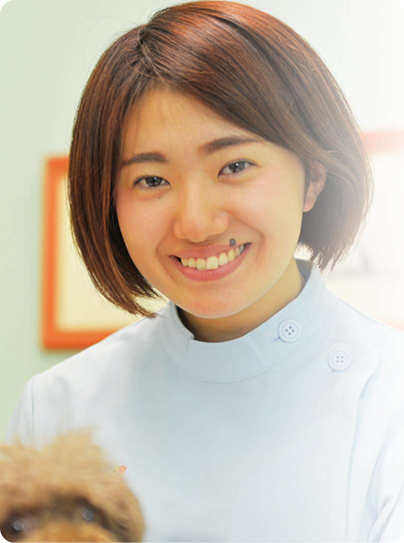 先輩インタビュー