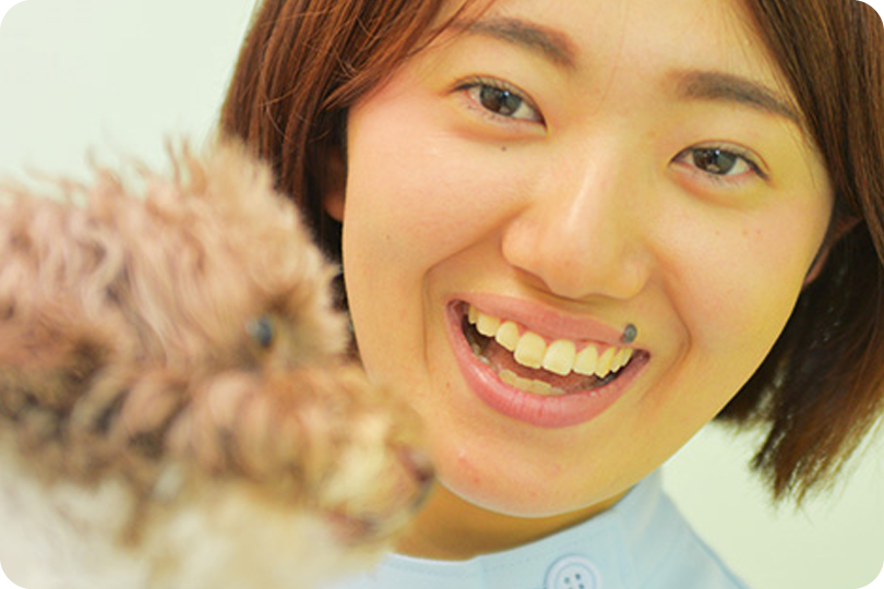 先輩インタビュー