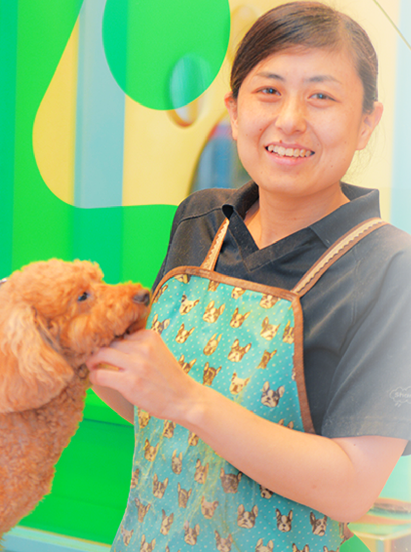 先輩インタビュー