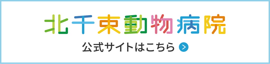 北千束動物病院