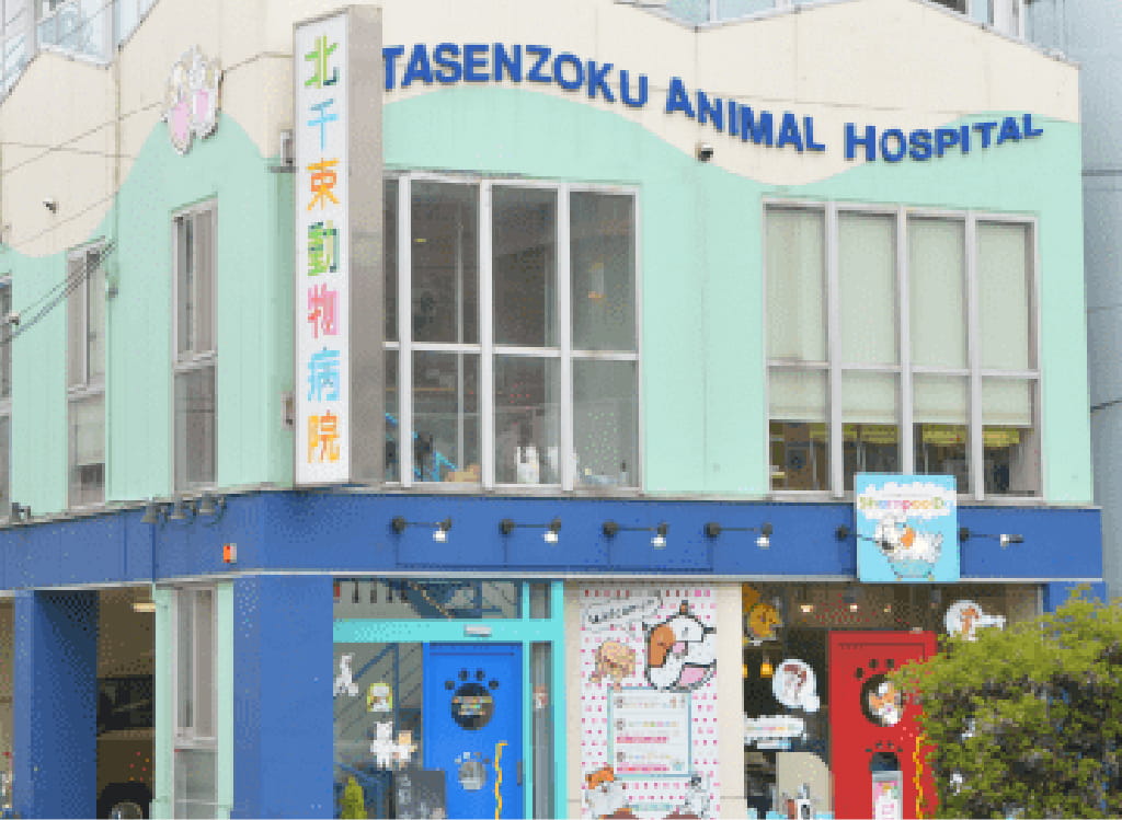 北千束動物病院