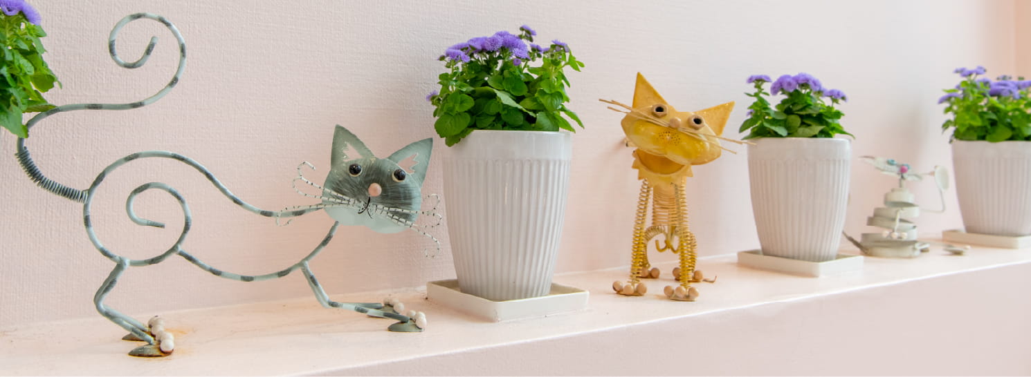 獣医師採用情報メインビジュアル