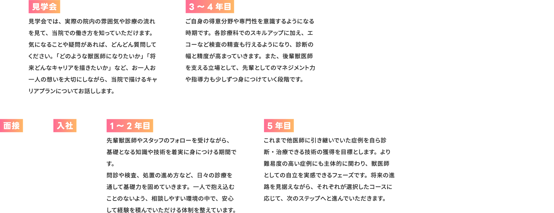 コース