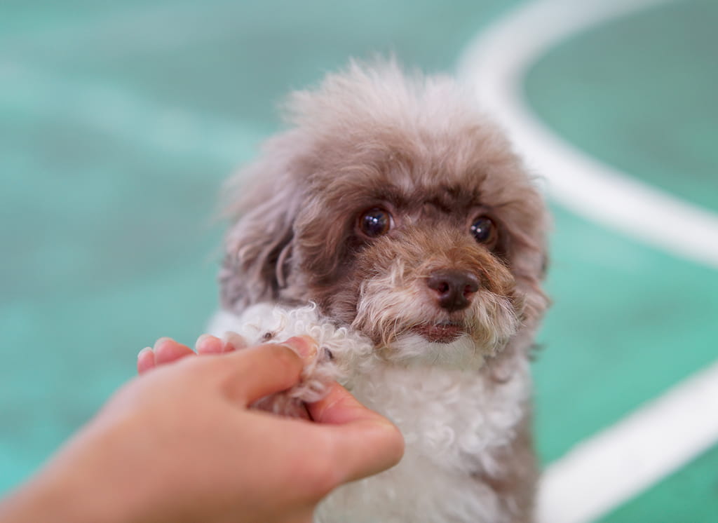 成長を実感し、実力を磨ける環境のありがたさ