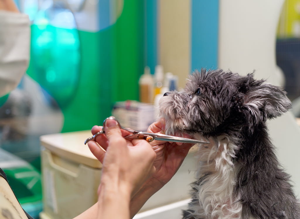 日々の仕事を楽しみながら成長できる